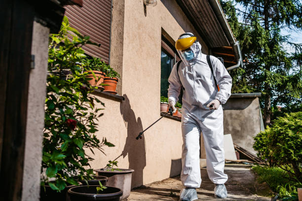 Best Termite Control Services  in North Browning, MT