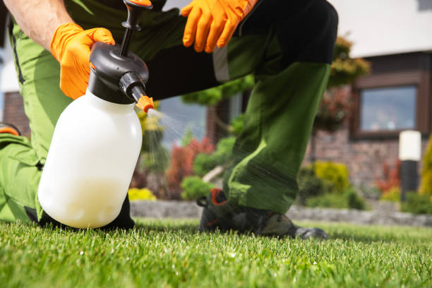 Best Pest Control for Businesses  in North Browning, MT
